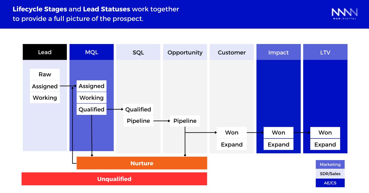 How Lifecycle Stages & Lead Statuses work together